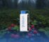 forest berry storm nedir