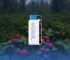 forest berry storm nedir
