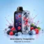 Vozol Rave 56000 Blackberry Raspberry